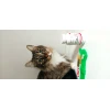 Кормова добавка для собак і котів LAB-V Arthro Comfort для суглобів 45 капсул (5905947787401)
