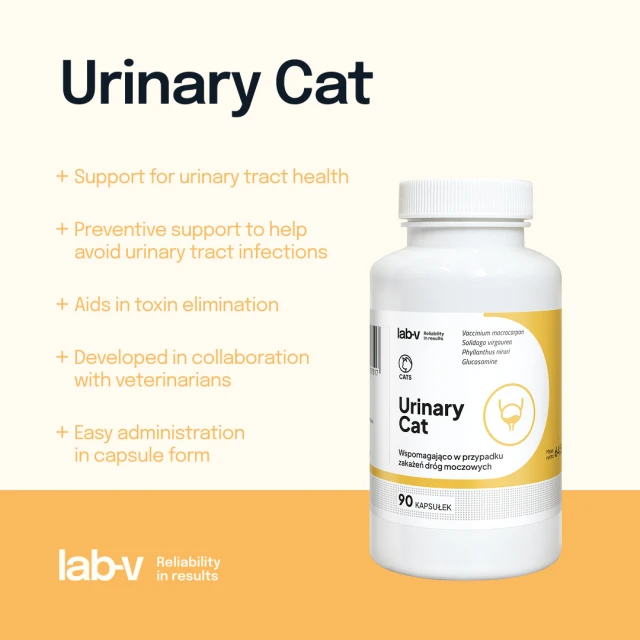 Кормова добавка для котів LAB-V Urinary Cat для підтримки сечовивідної системи 90 капсул (5905947787517)