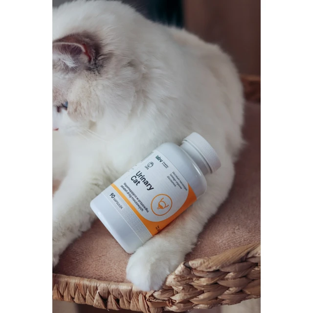 Кормова добавка для котів LAB-V Urinary Cat для підтримки сечовивідної системи 90 капсул (5905947787517)