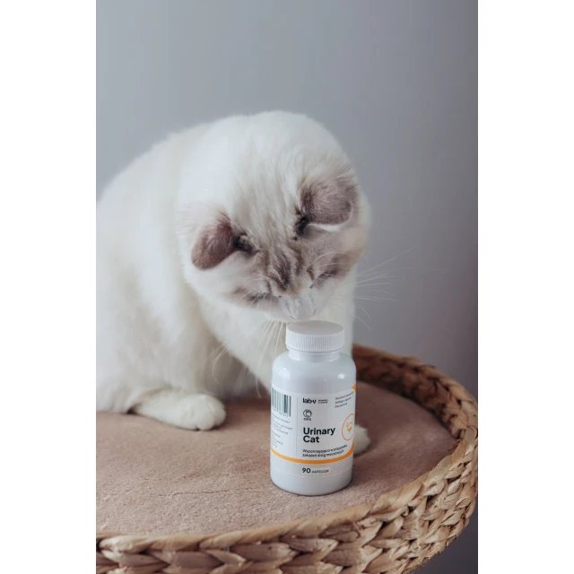 Кормова добавка для котів LAB-V Urinary Cat для підтримки сечовивідної системи 90 капсул (5905947787517)