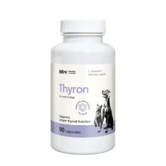 Кормова добавка для собак та котів LAB-V Thyron підтримка функції щитоподібної залози 90 капсул (5905947787586)
