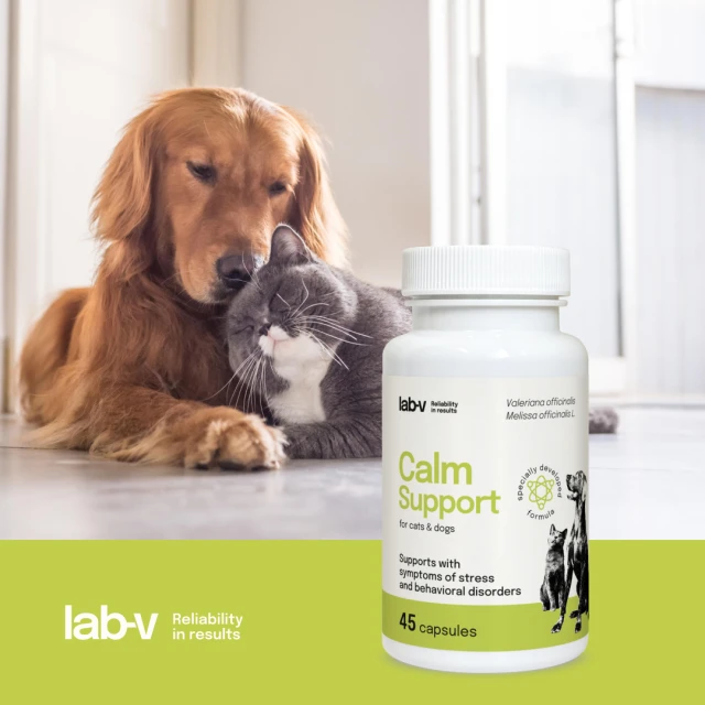 Кормова добавка для собак і котів LAB-V Calm Support при стресі 45 капсул (5905947787593)