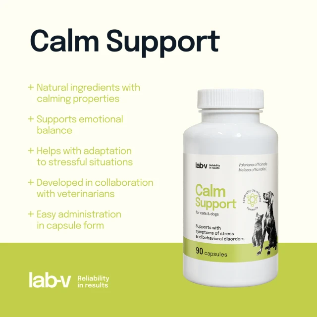 Кормова добавка для собак і котів LAB-V Calm Support при стресі 90 капсул (5905947787609)