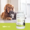 Кормова добавка для собак і котів LAB-V Calm Support при стресі 90 капсул (5905947787609)