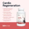 Кормова добавка для собак і котів LAB-V Cardio Regeneration 90 капсул (5905947787623)