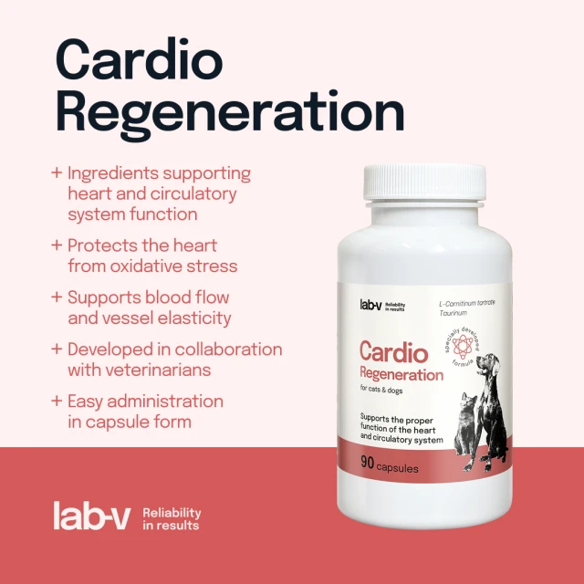 Кормова добавка для собак і котів LAB-V Cardio Regeneration 90 капсул (5905947787623)