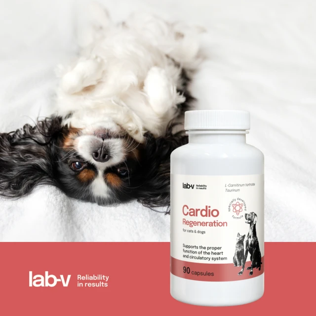 Кормова добавка для собак і котів LAB-V Cardio Regeneration 90 капсул (5905947787623)