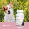 Кормова добавка для собак і котів LAB-V Allerga Control при алергії 45 капсул (5905947787630)