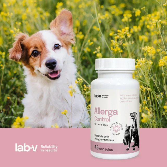 Кормова добавка для собак і котів LAB-V Allerga Control при алергії 45 капсул (5905947787630)