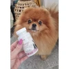 Кормова добавка для собак і котів LAB-V Allerga Control при алергії 45 капсул (5905947787630)