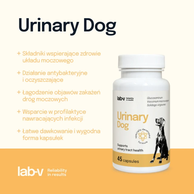 Кормова добавка для собак LAB-V Urinary Dog для підтримки сечовивідної системи 45 капсул (5905947787661)