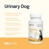 Кормова добавка для собак LAB-V Urinary Dog для підтримки сечовивідної системи 45 капсул (5905947787661)