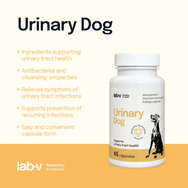 Кормова добавка для собак LAB-V Urinary Dog для підтримки сечовивідної системи 45 капсул (5905947787661)