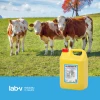 Кормова добавка для корів LAB-V Gliceryna Vit 20 кг (5905947787791)