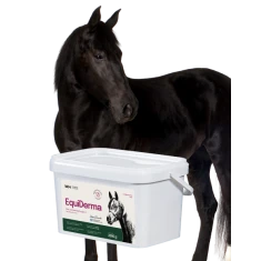 Кормова добавка для коней LAB-V EquiDerma для шкіри, шерсті та копит 2000 г (5905947787814)