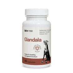 Кормова добавка для собак LAB-V Glandala для залоз та травлення 45 капсул (5905947787852)