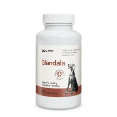Кормова добавка для собак LAB-V Glandala для залоз та травлення 90 капсул (5905947787869)