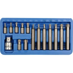 Набір ключів Vorel Torx T20-T55 15 шт (5906083665806)