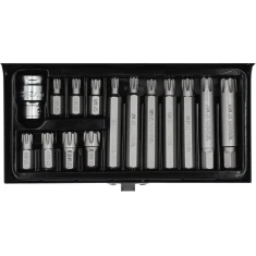Набір бітів Yato RIBE 15 шт (5906083904196)