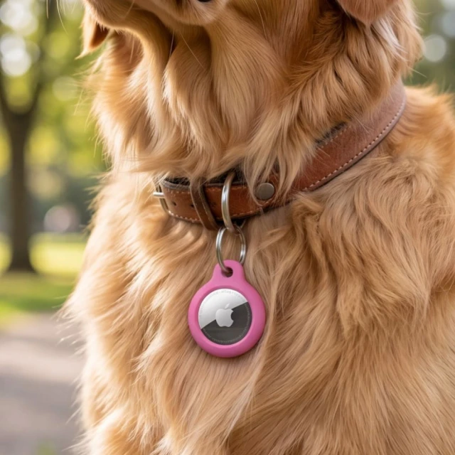 Чохол Tech-Protect Rough для Apple AirTag 1 / 2 Pink (5906302324613)