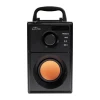 Портативная колонка Media-Tech MT3145 V2 Black (5906453180458)