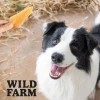 Ласощі для собак Wild Farm М'яка куряча грудка 500 г (5907291265598)