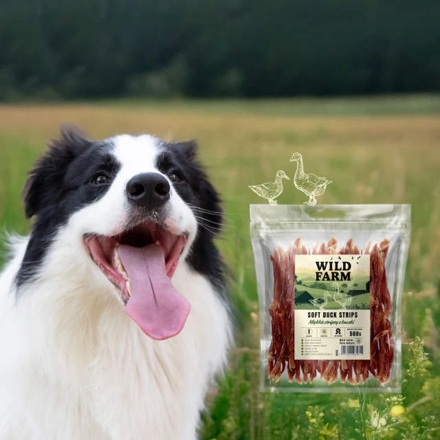 Ласощі для собак Wild Farm М'які стрипси з качкою 500 г (5907291265611)