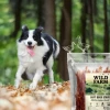 Ласощі для собак Wild Farm М'які стрипси з качкою 500 г (5907291265611)