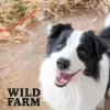 Ласощі для собак Wild Farm М'які стрипси з качкою 500 г (5907291265611)