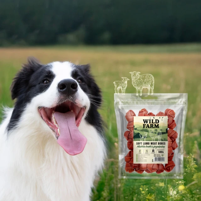 Ласощі для собак Wild Farm М'які кубики з ягням 500 г (5907291265628)