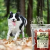 Ласощі для собак Wild Farm М'які кубики з ягням 500 г (5907291265628)