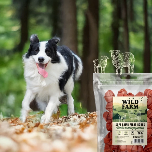 Ласощі для собак Wild Farm М'які кубики з ягням 500 г (5907291265628)