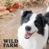Ласощі для собак Wild Farm М'які кубики з ягням 500 г (5907291265628)