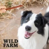Ласощі для собак Wild Farm Палички з кроликом 500 г (5907291265635)
