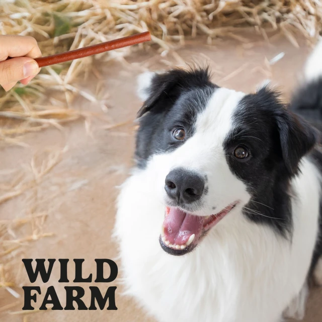 Ласощі для собак Wild Farm Палички з кроликом 500 г (5907291265635)
