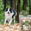 Ласощі для собак Wild Farm з ягням і тріскою 500 г (5907291265642)