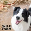 Ласощі для собак Wild Farm з ягням і тріскою 500 г (5907291265642)