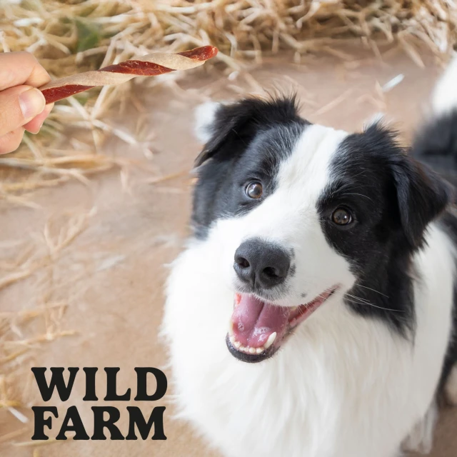 Ласощі для собак Wild Farm з ягням і тріскою 500 г (5907291265642)