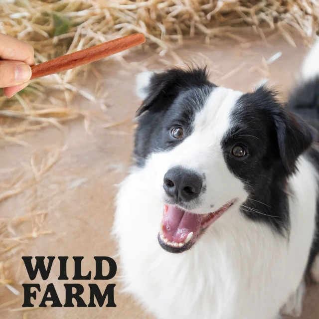 Ласощі для собак Wild Farm з кроликом 500 г (5907291265659)