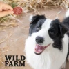 Лакомства для собак Wild Farm чипсы из ягнятины 500 г (5907291265697)