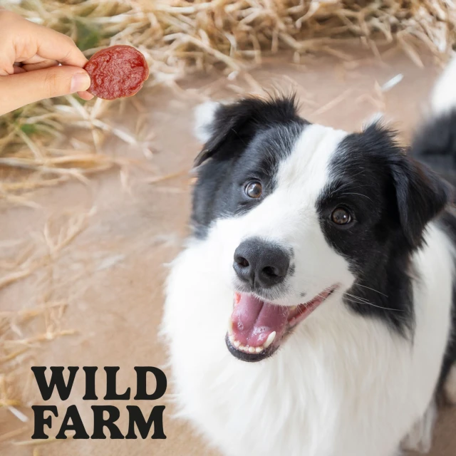 Лакомства для собак Wild Farm чипсы из ягнятины 500 г (5907291265697)