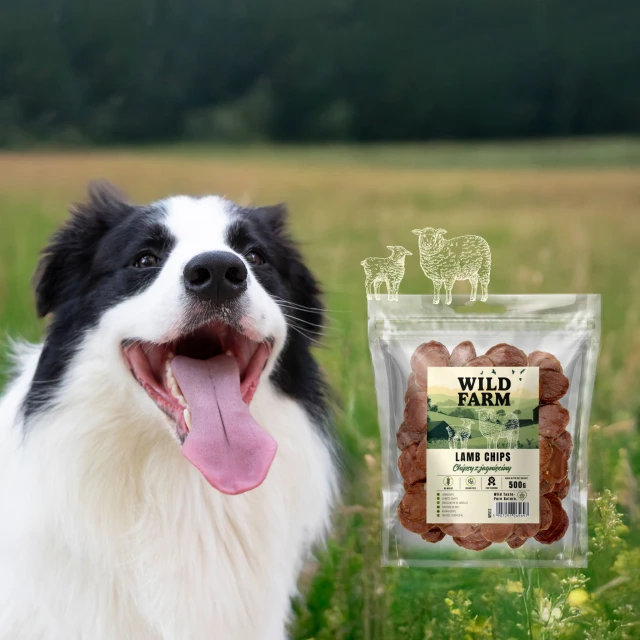 Лакомства для собак Wild Farm чипсы из ягнятины 500 г (5907291265697)