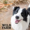 Ласощі для собак Wild Farm м'які смужки з куркою 500 г (5907291265710)