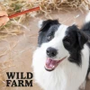 Ласощі для собак Wild Farm палички з ягнятини 500 г (5907291265741)