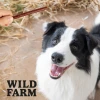 Ласощі для собак Wild Farm Палички з яловичиною 500 г (5907291265758)
