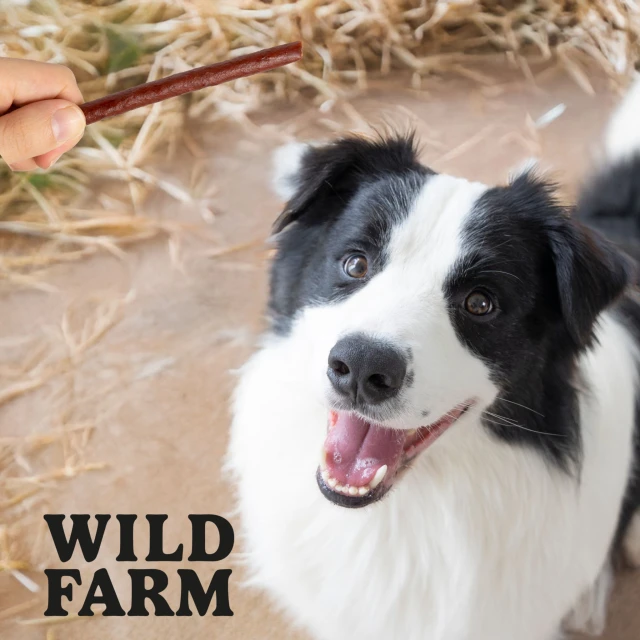 Ласощі для собак Wild Farm Палички з яловичиною 500 г (5907291265758)