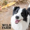 Ласощі для собак Wild Farm Вуха кролячі 300 г (5907291265789)
