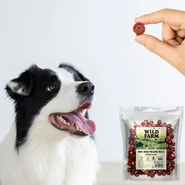 Ласощі для собак Wild Farm Роли з качкою 500 г (5907291265826)