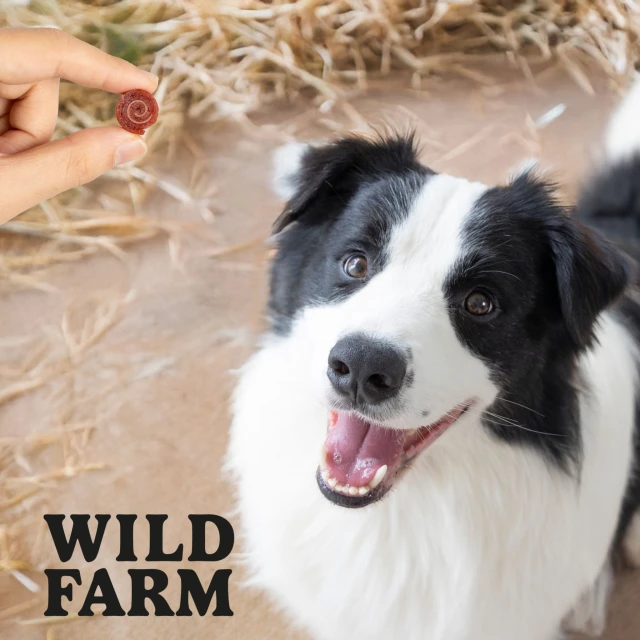 Ласощі для собак Wild Farm Роли з качкою 500 г (5907291265826)