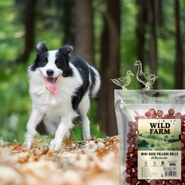 Ласощі для собак Wild Farm Роли з качкою 500 г (5907291265826)